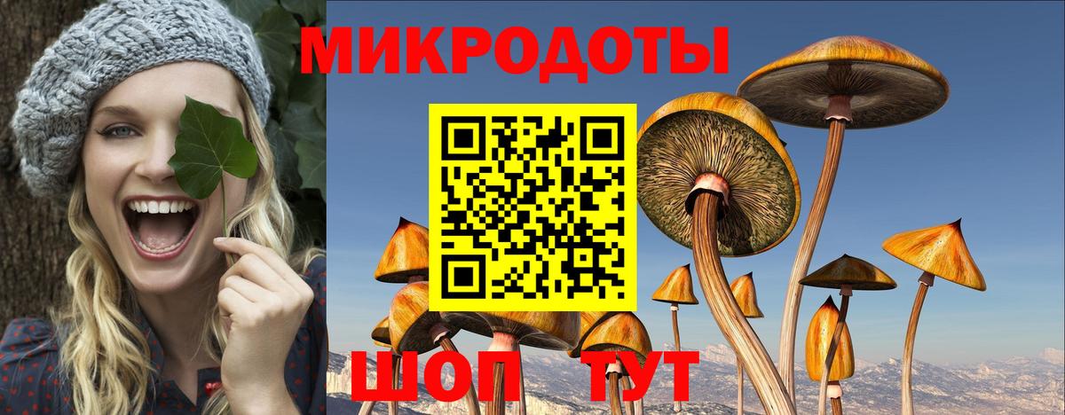 Галлюциногенные грибы Cubensis Юрга